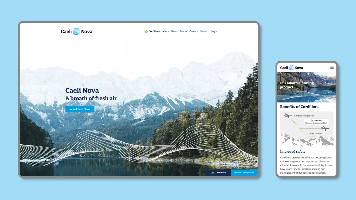 Example of Caeli Nova digital marketing and website