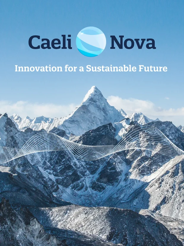 Example of Caeli Nova digital marketing and website