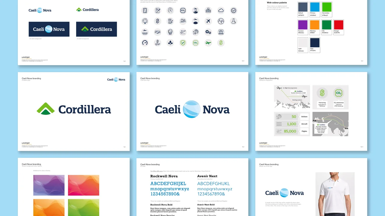 Example of Caeli Nova digital marketing and website